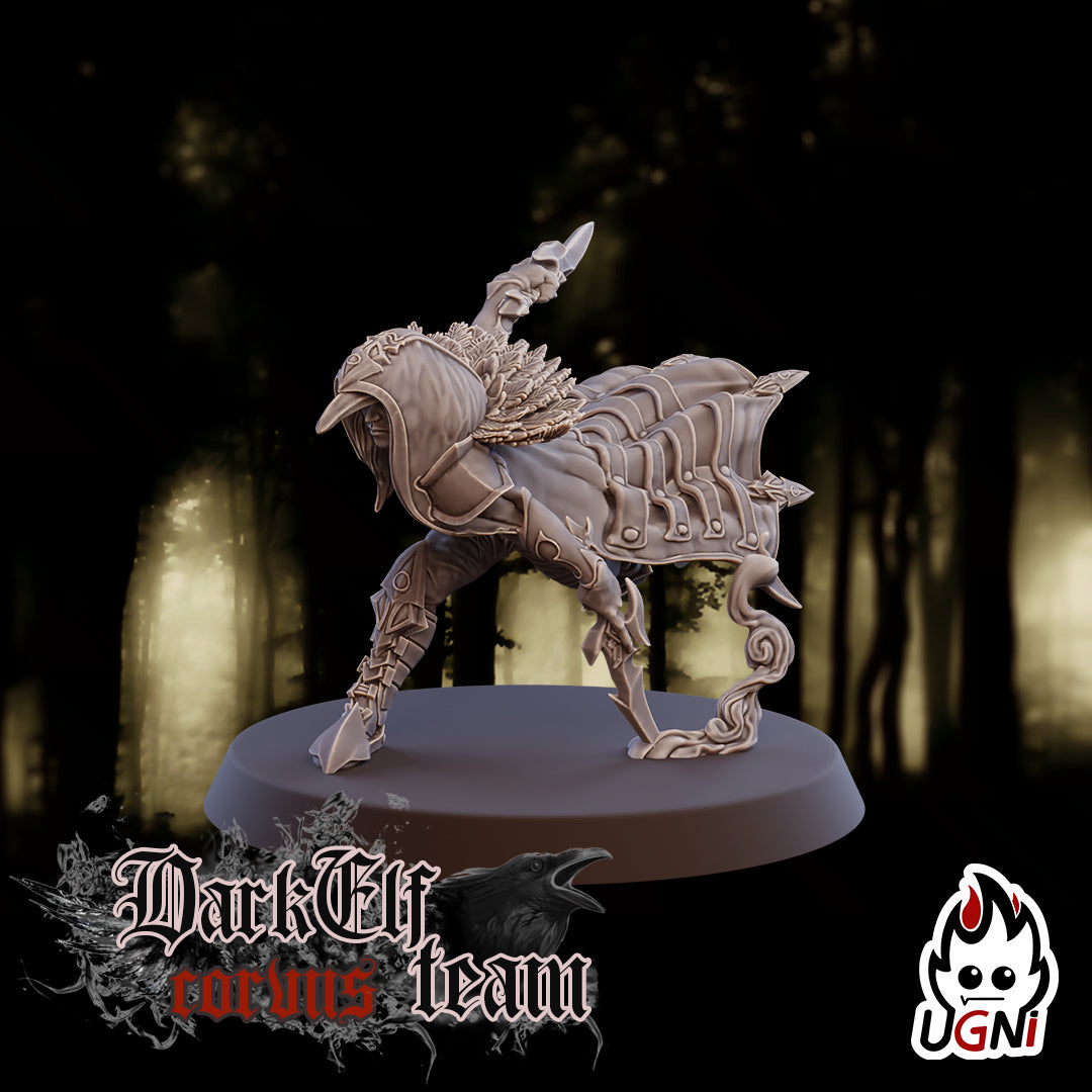 Dark Elf Corvus Team (16 Players)