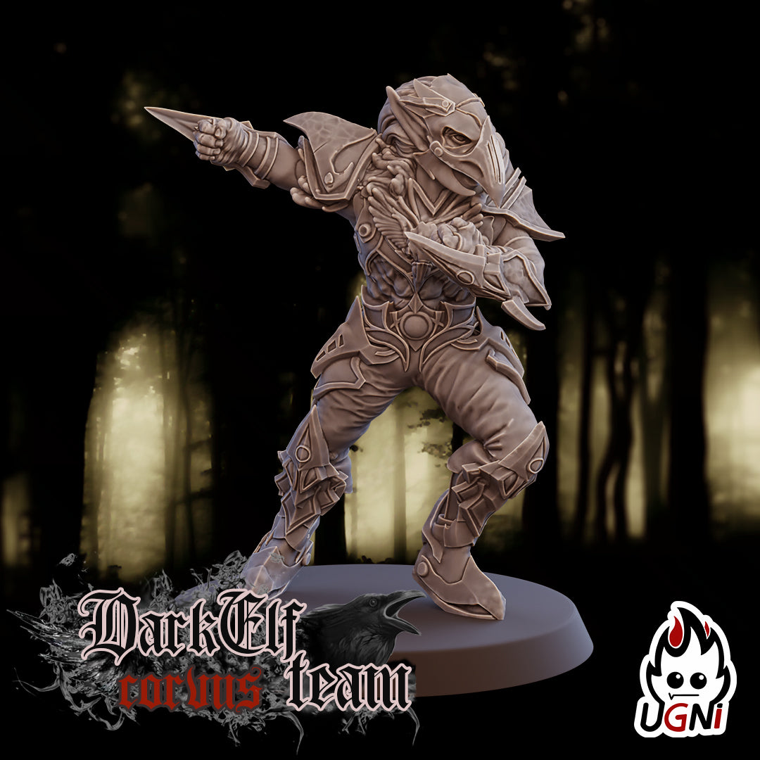 Dark Elf Corvus Team (16 Players)