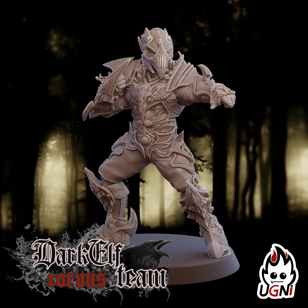 Dark Elf Corvus Team (16 Players)