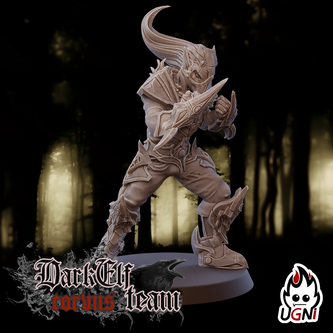 Dark Elf Corvus Team (16 Players)