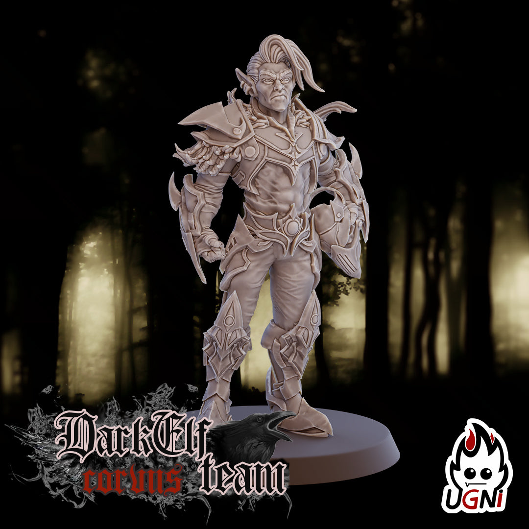 Dark Elf Corvus Team (16 Players)