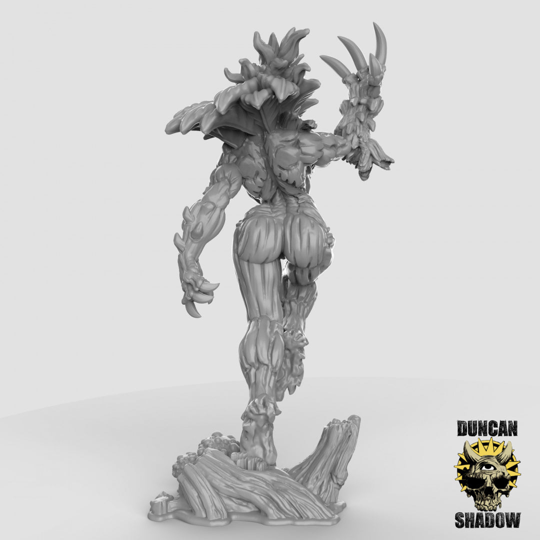 Dryad Queen | Duncan Shadow | Compatible with Dungeons & Dragons and Pathfinder