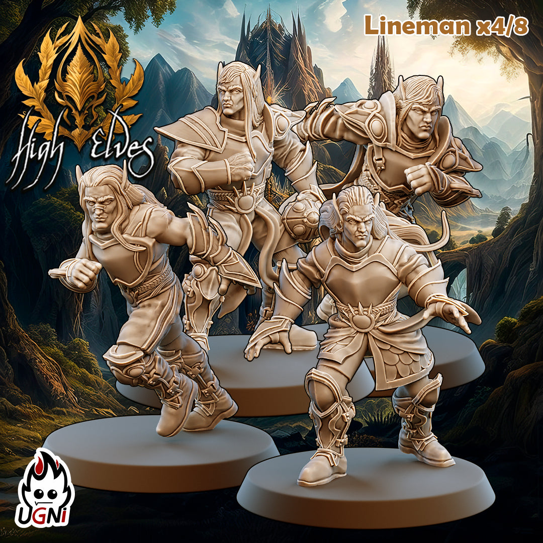 High Elves Team (16 Players)