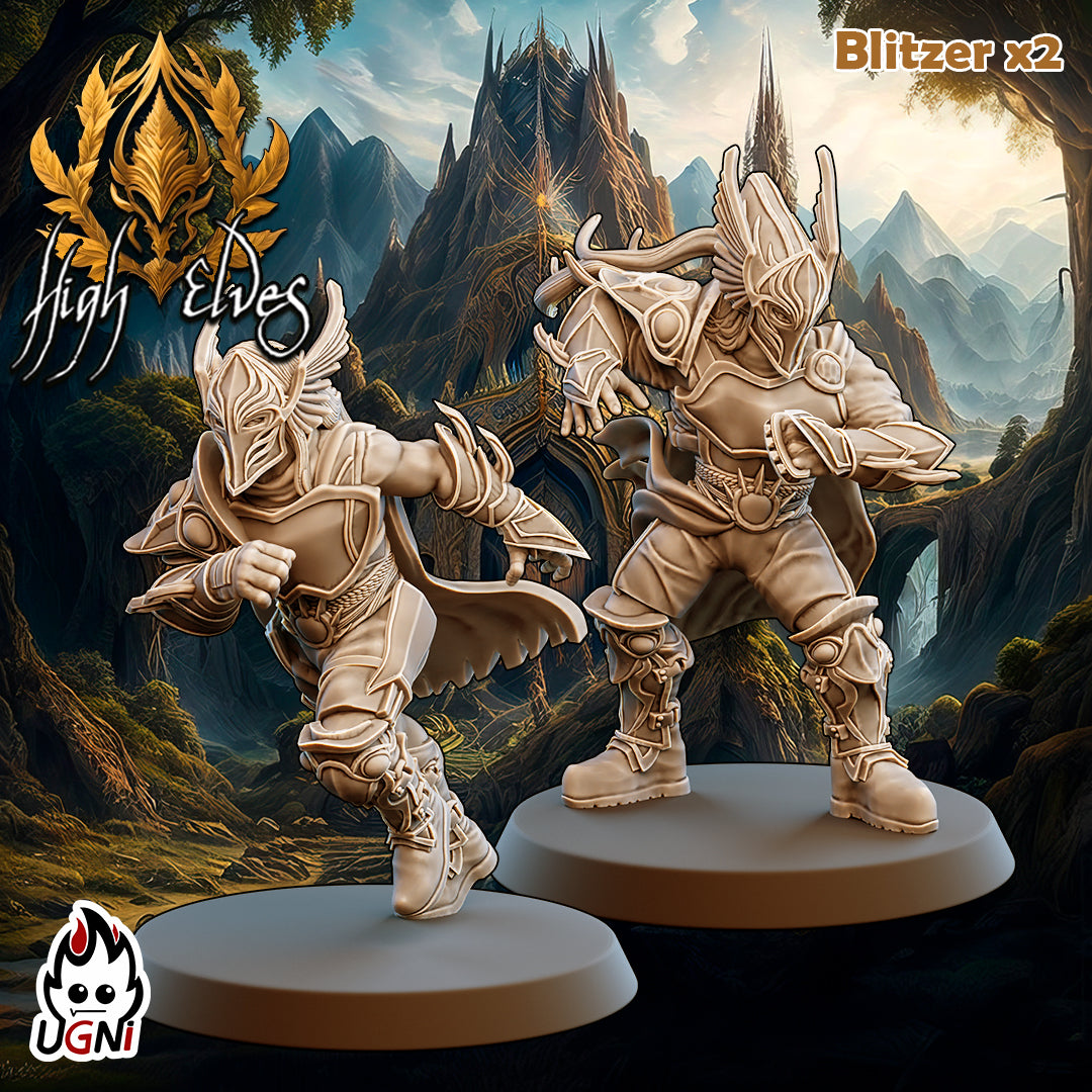 High Elves Team (16 Players)