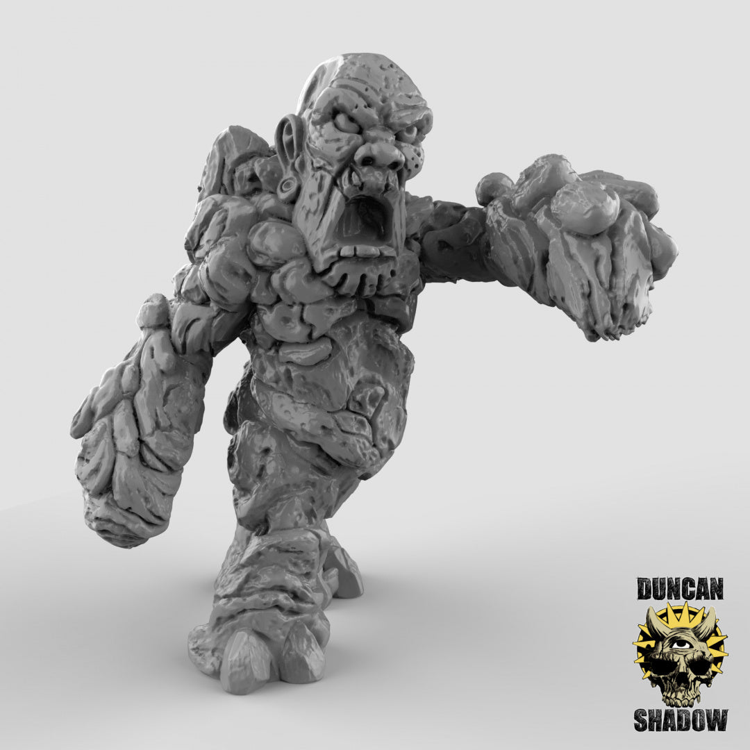 Erdelementar-Golems | Duncan Shadow | Kompatibel mit Dungeons & Dragons und Pathfinder