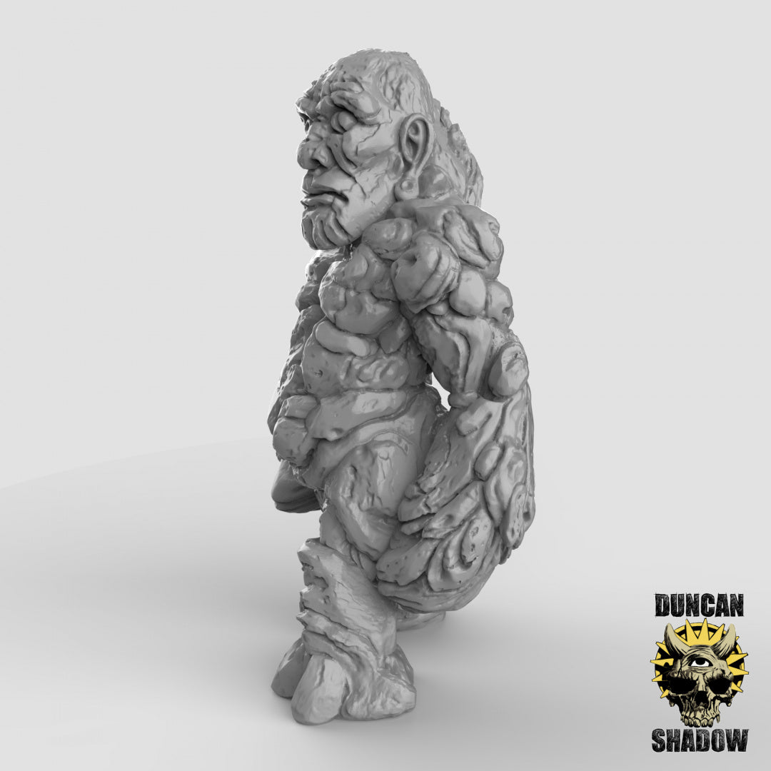 Erdelementar-Golems | Duncan Shadow | Kompatibel mit Dungeons & Dragons und Pathfinder