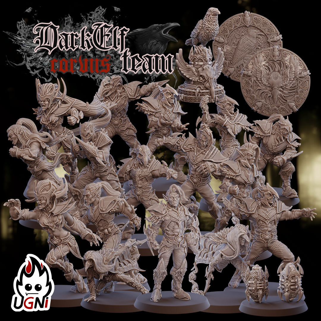 Dark Elf Corvus Team (16 Players)