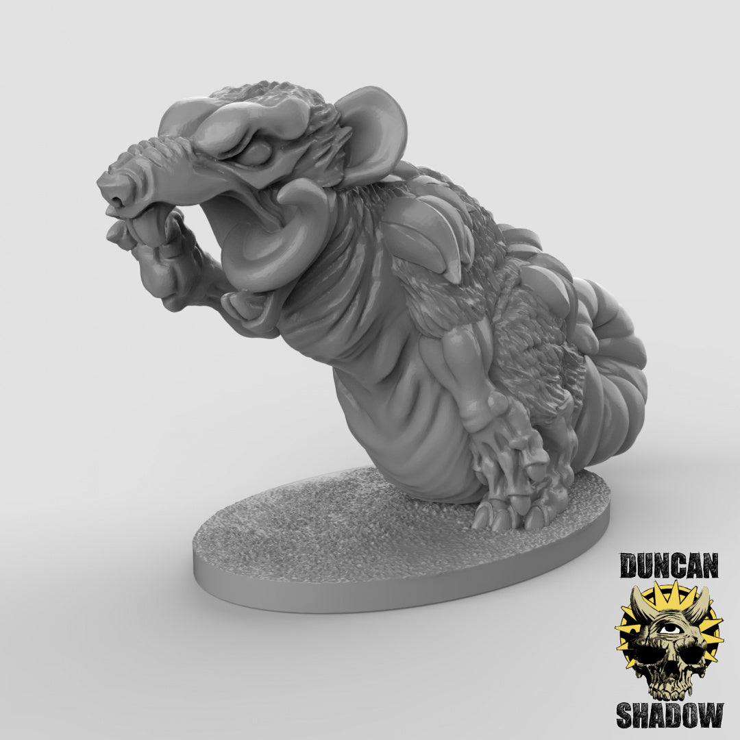 Ratas Gigantes | Sombra de Duncan | Compatible con Dragones y Mazmorras y Pathfinder