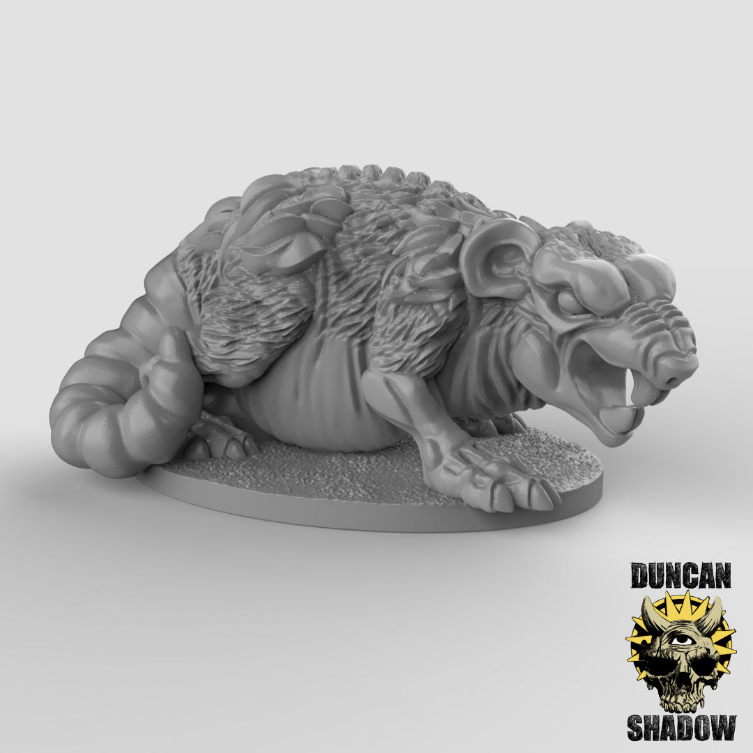 Ratas Gigantes | Sombra de Duncan | Compatible con Dragones y Mazmorras y Pathfinder