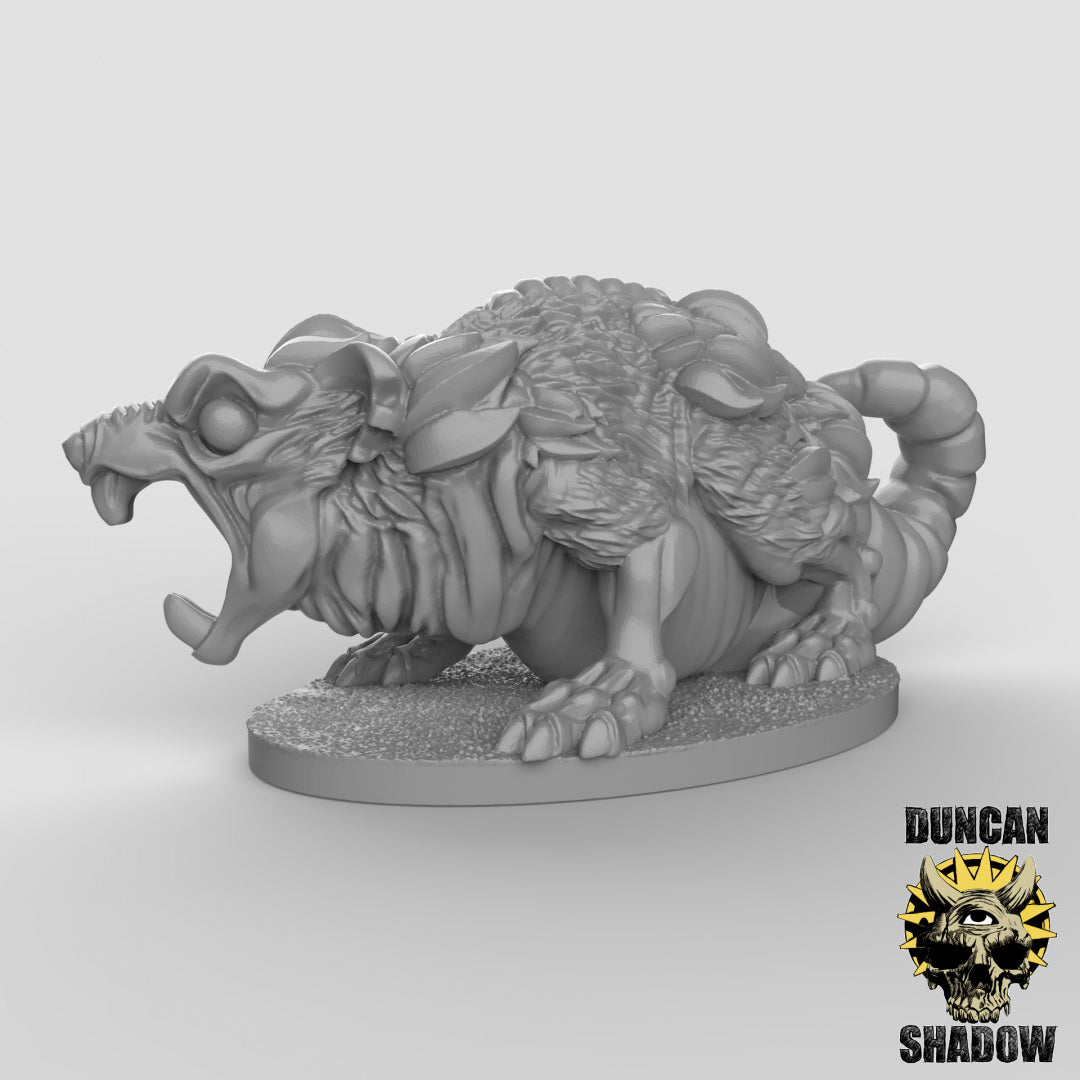 Ratas Gigantes | Sombra de Duncan | Compatible con Dragones y Mazmorras y Pathfinder