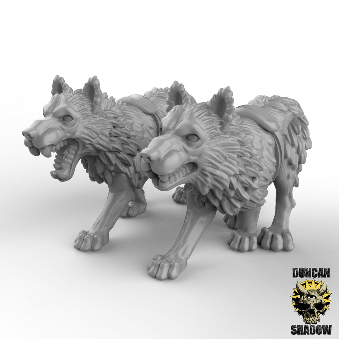 Goblin Chariot | Duncan Shadow | Compatible with Dungeons & Dragons and Pathfinder