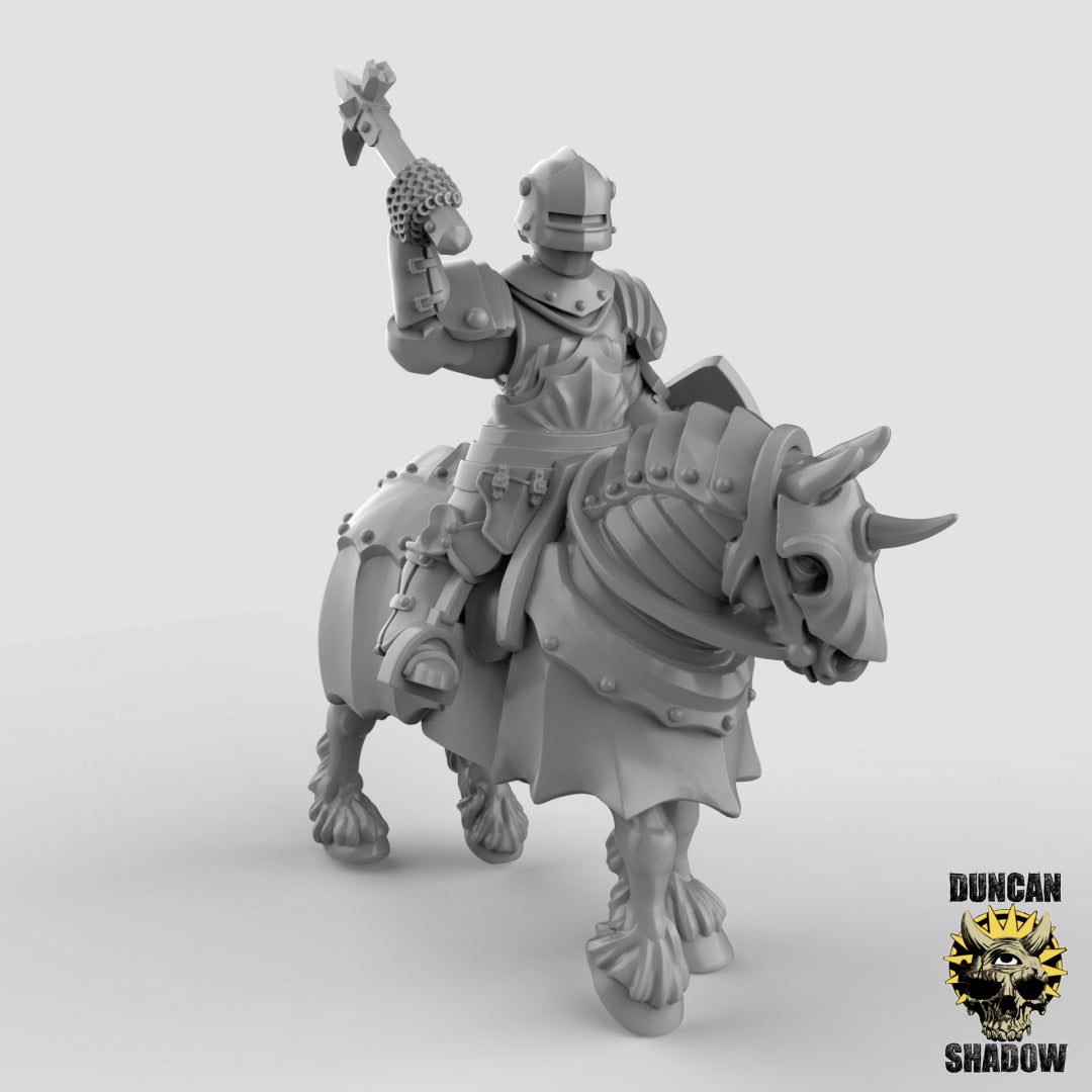 Human Cavalry Knights With Hand Weapons | Duncan Shadow | Compatible with Dungeons & Dragons and Pathfinder