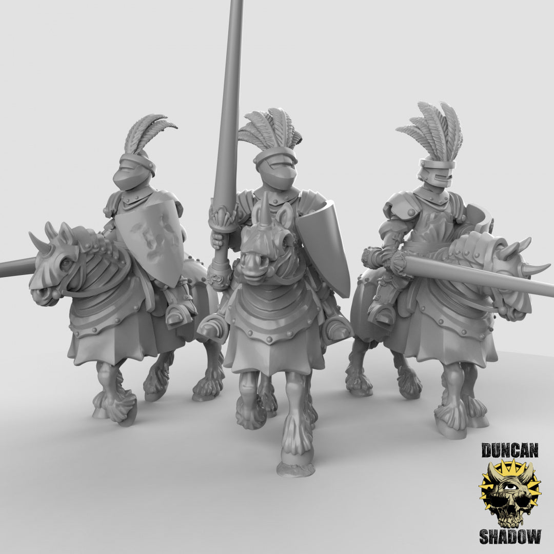 Caballeros de caballería humanos con lanzas | Sombra de Duncan | Compatible con Dragones y Mazmorras y Pathfinder
