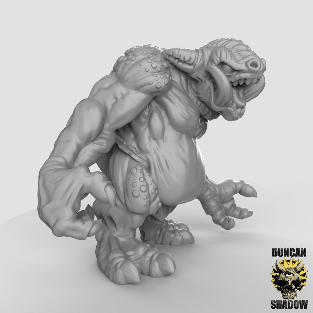 Kobold Dragon Trolls | Duncan Shadow | Compatible with Dungeons & Dragons and Pathfinder