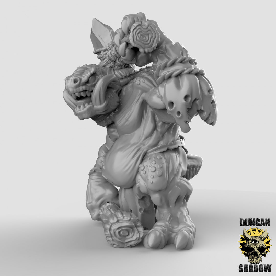 Kobold Dragon Trolls | Duncan Shadow | Compatible with Dungeons & Dragons and Pathfinder