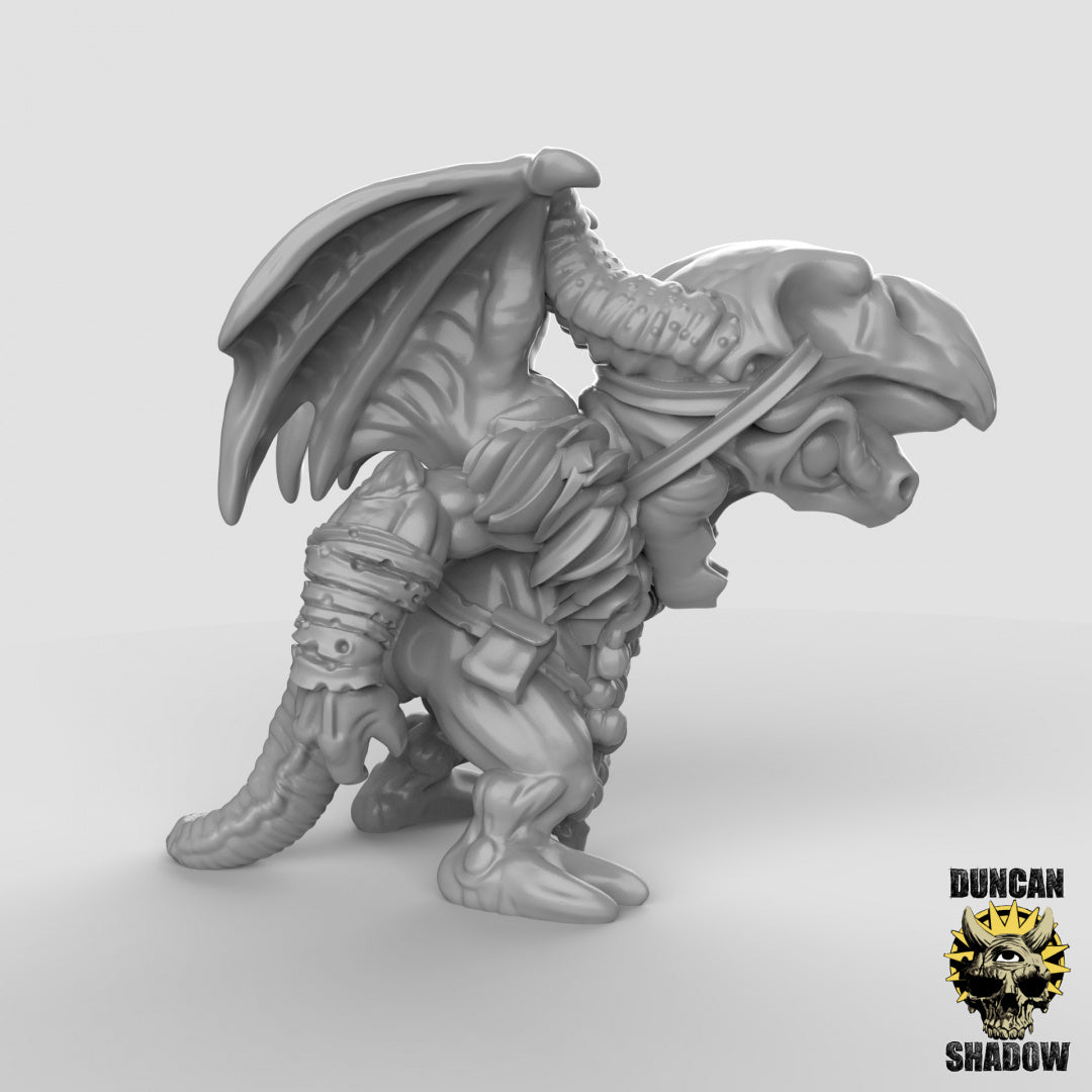 Kobold Winged Dragon Shaman | Duncan Shadow | Compatible with Dungeons & Dragons and Pathfinder
