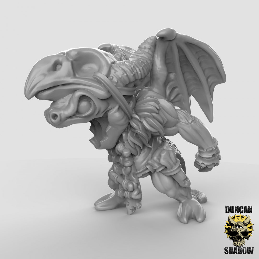 Chamán Dragón Alado Kobold | Sombra de Duncan | Compatible con Dragones y Mazmorras y Pathfinder