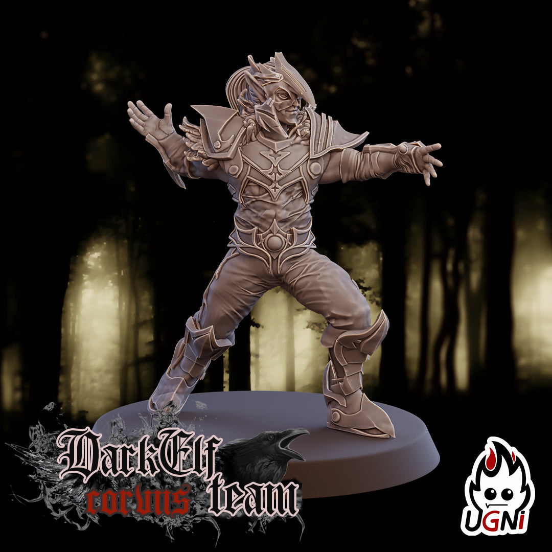 Dark Elf Corvus Team (16 Players)