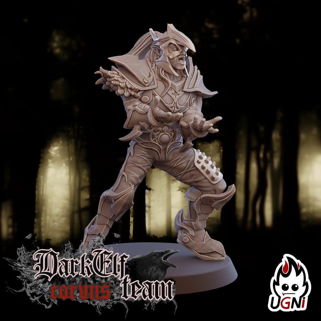 Dark Elf Corvus Team (16 Players)