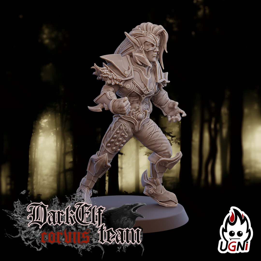 Dark Elf Corvus Team (16 Players)