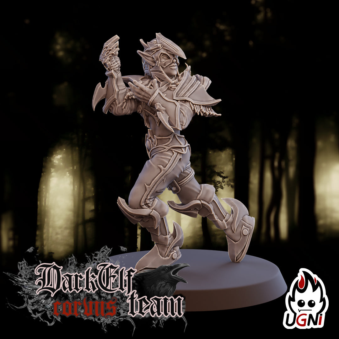 Dark Elf Corvus Team (16 Players)