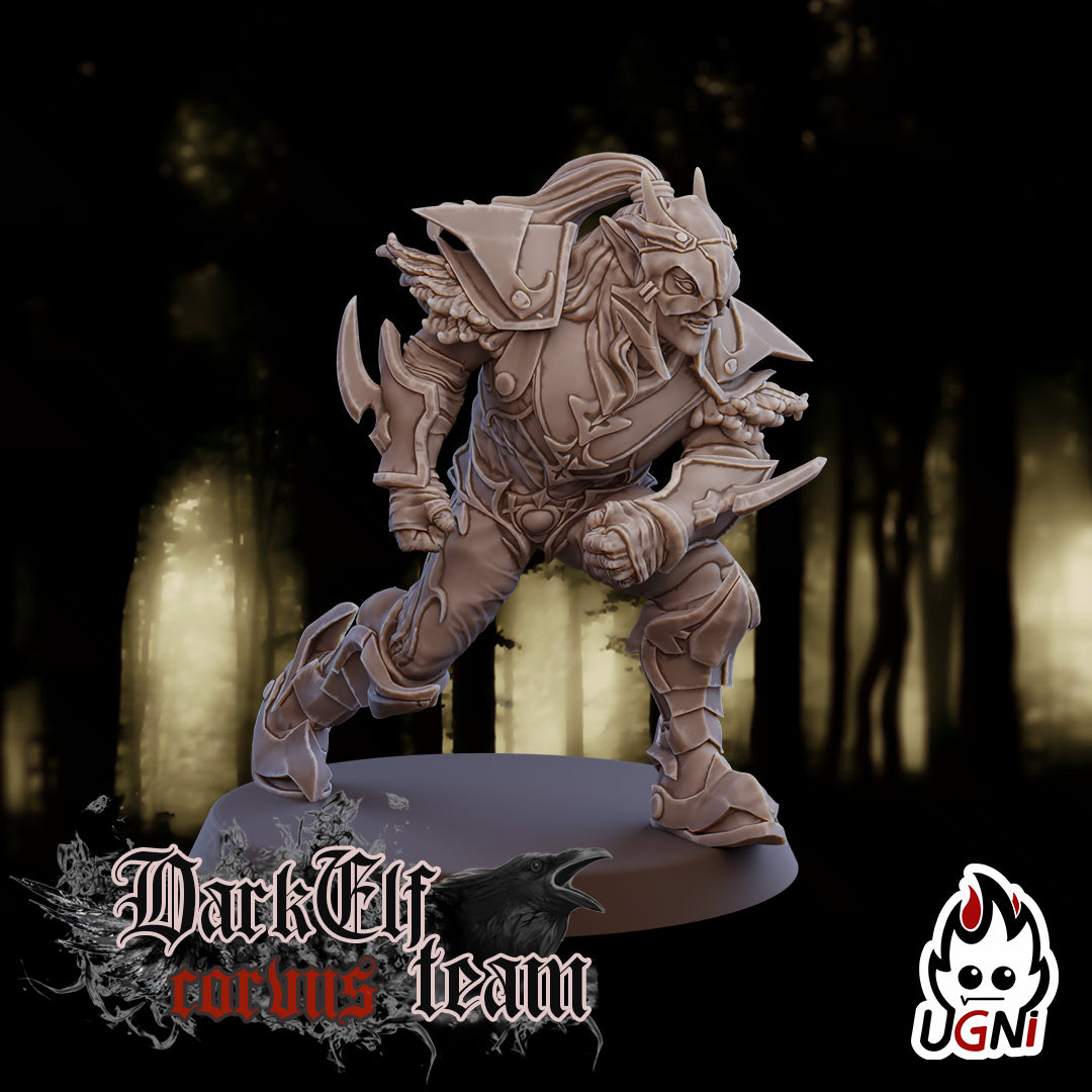 Dark Elf Corvus Team (16 Players)