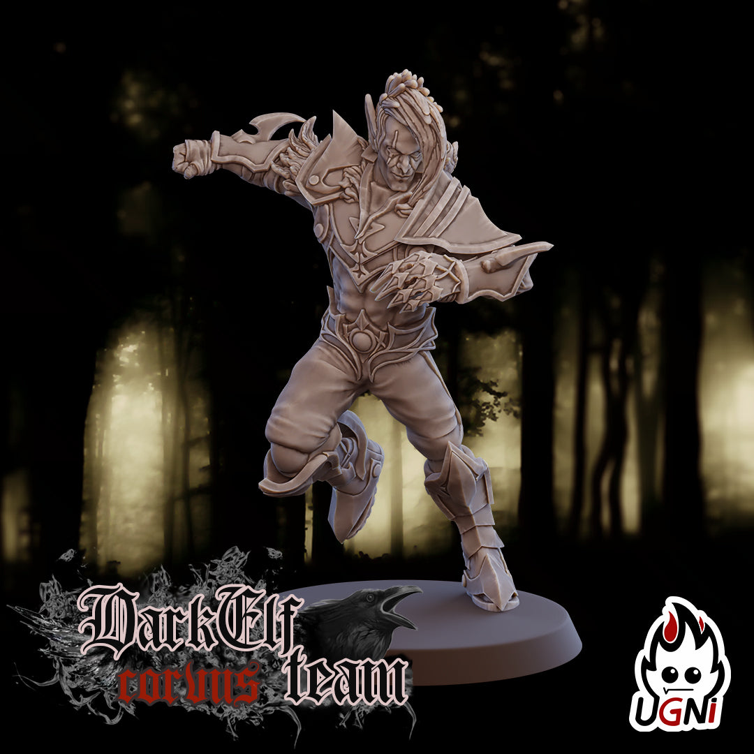 Dark Elf Corvus Team (16 Players)