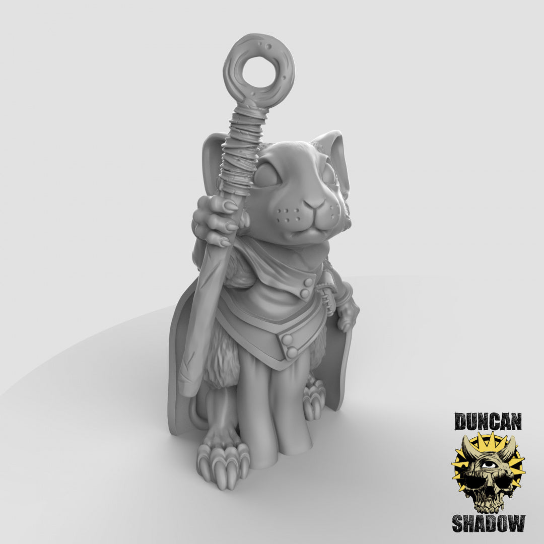 Mousle Folk Sorcerers | Duncan Shadow | Kompatibel mit Dungeons & Dragons und Pathfinder