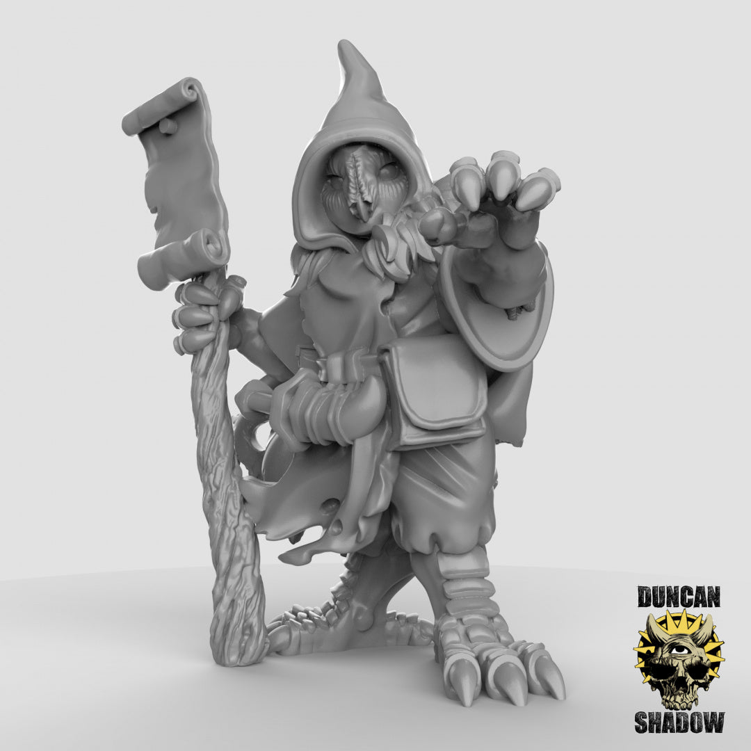Owl Folk Sorcerer | Duncan Shadow | Compatible with Dungeons & Dragons and Pathfinder