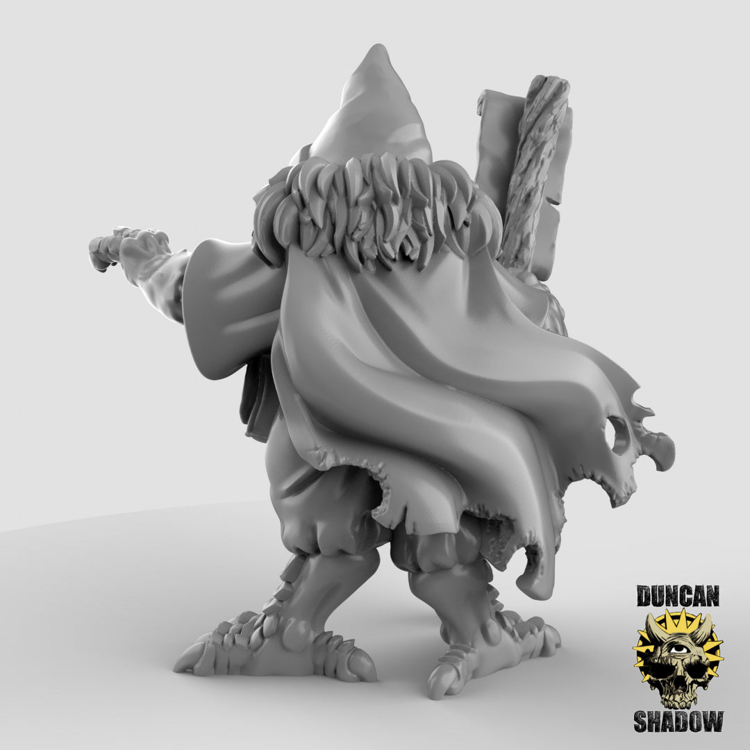 Owl Folk Sorcerer | Duncan Shadow | Compatible with Dungeons & Dragons and Pathfinder