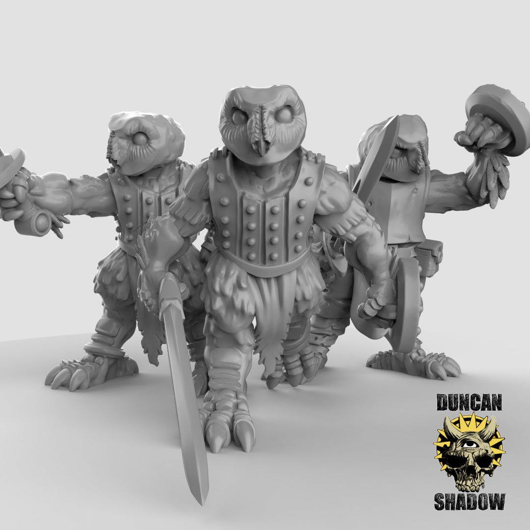 Eulenvolk mit Schwertern | Duncan Shadow | Kompatibel mit Dungeons & Dragons und Pathfinder