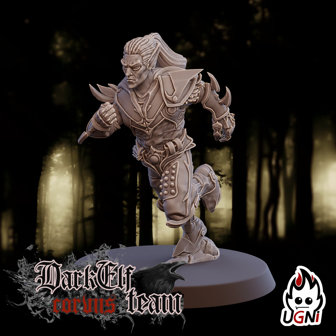 Dark Elf Corvus Team (16 Players)
