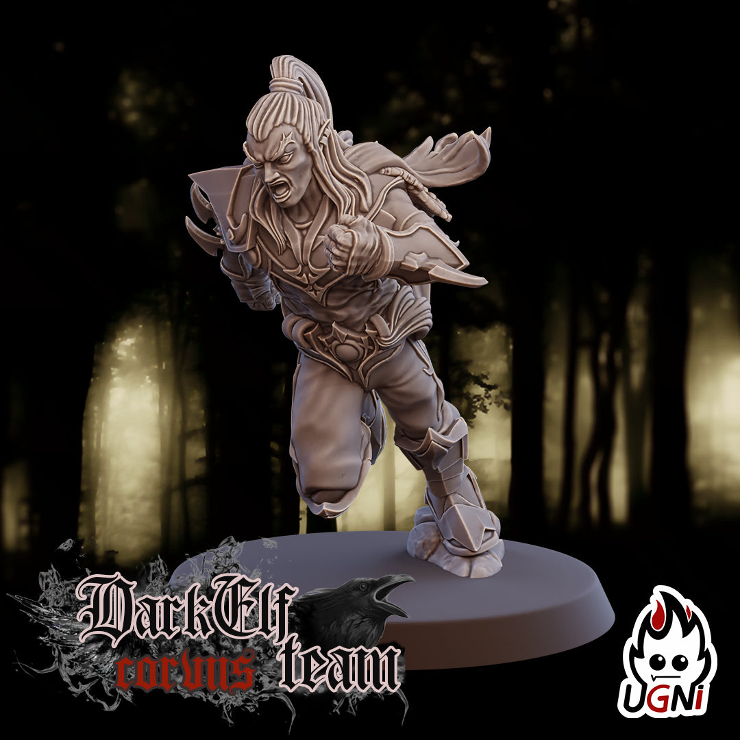 Dark Elf Corvus Team (16 Players)