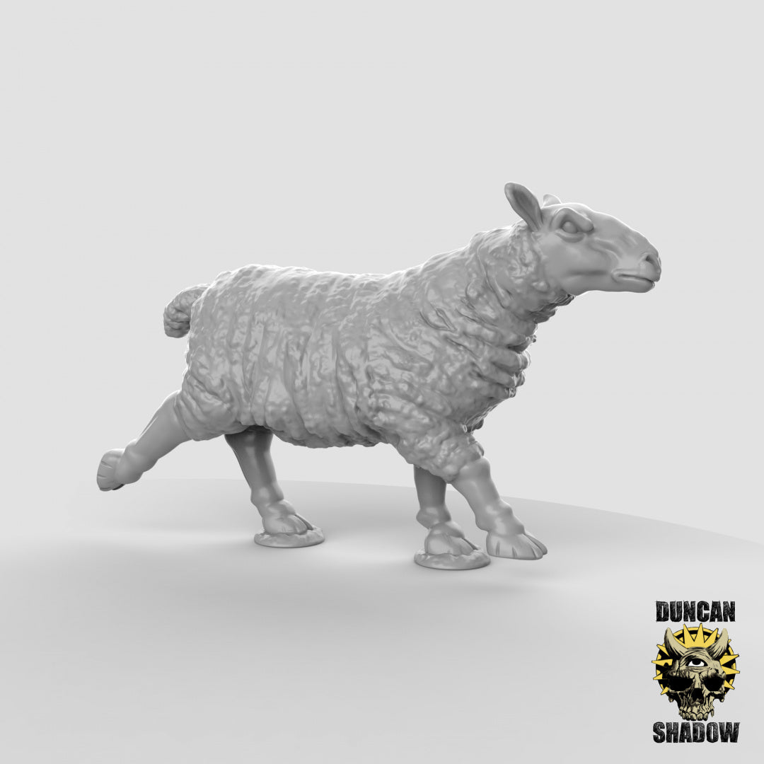 Sheep | Duncan Shadow | Compatible with Dungeons & Dragons and Pathfinder