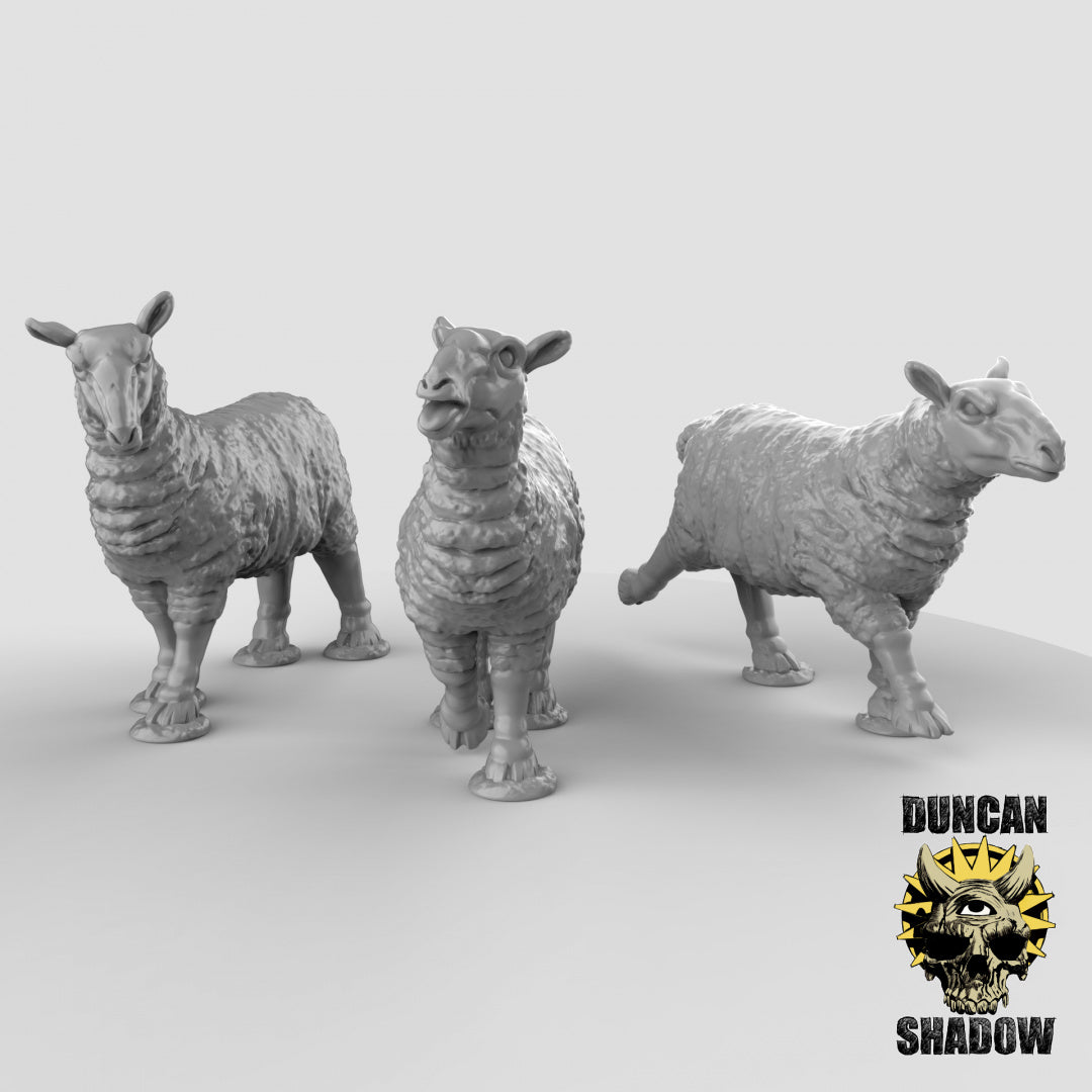 Ovejas | Sombra de Duncan | Compatible con Dragones y Mazmorras y Pathfinder