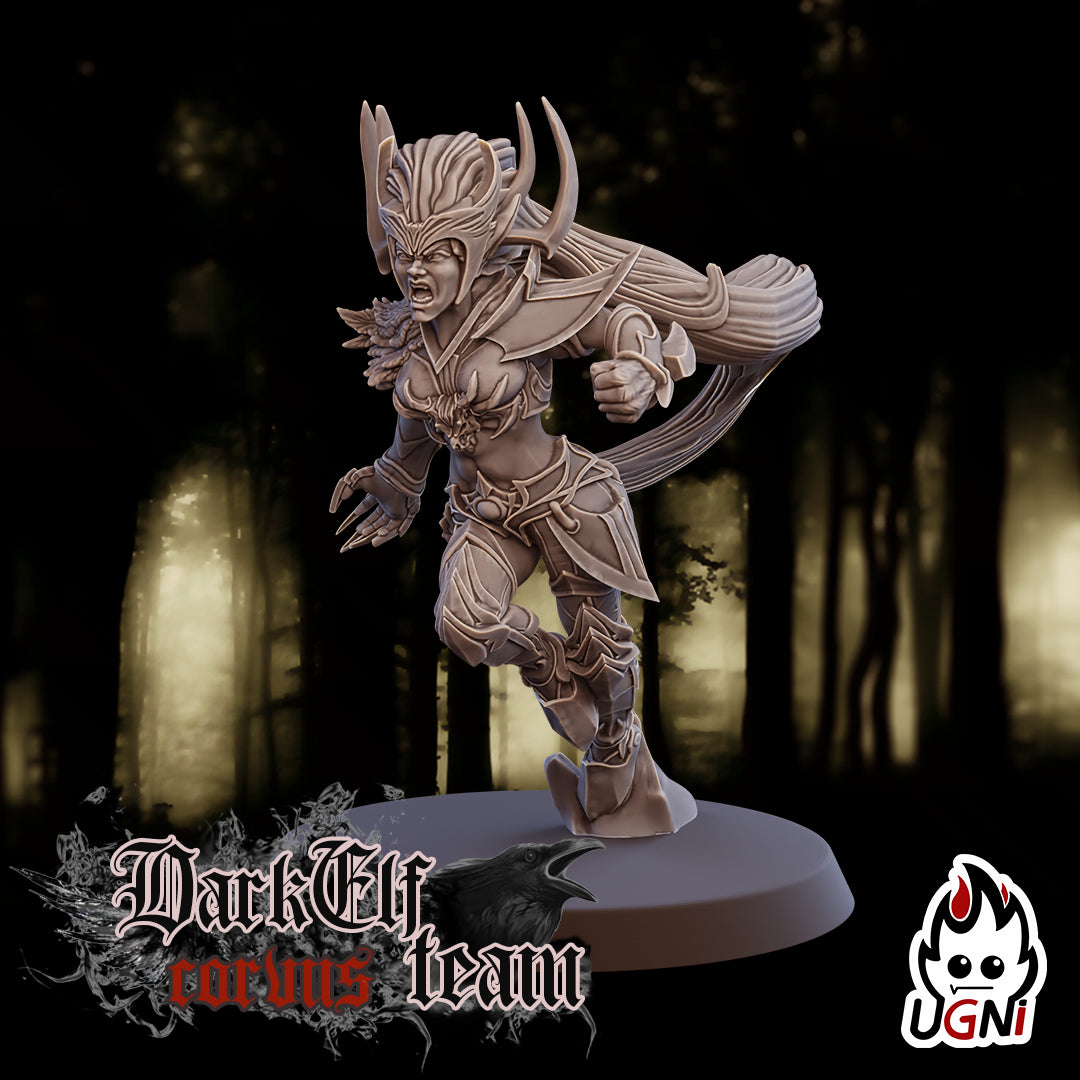 Dark Elf Corvus Team (16 Players)