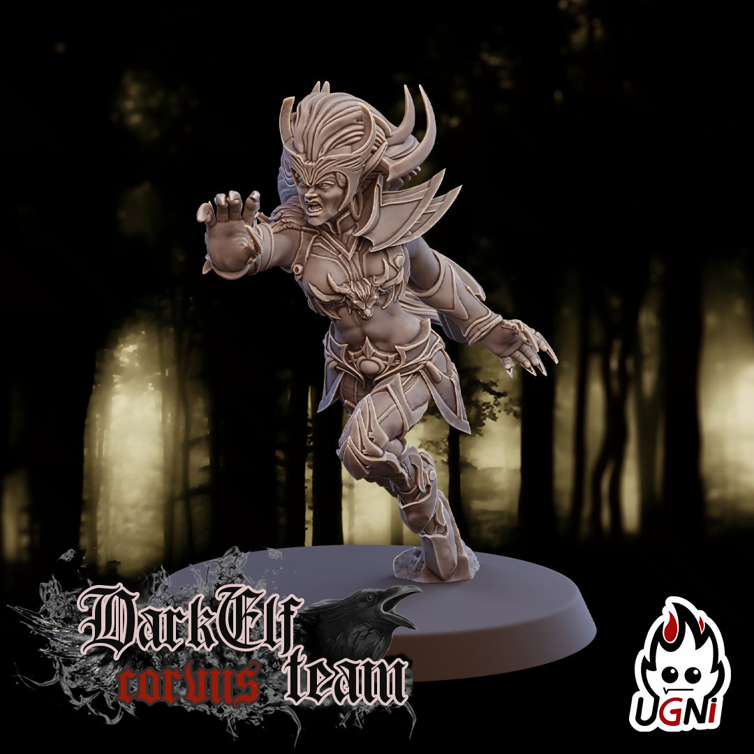 Dark Elf Corvus Team (16 Players)