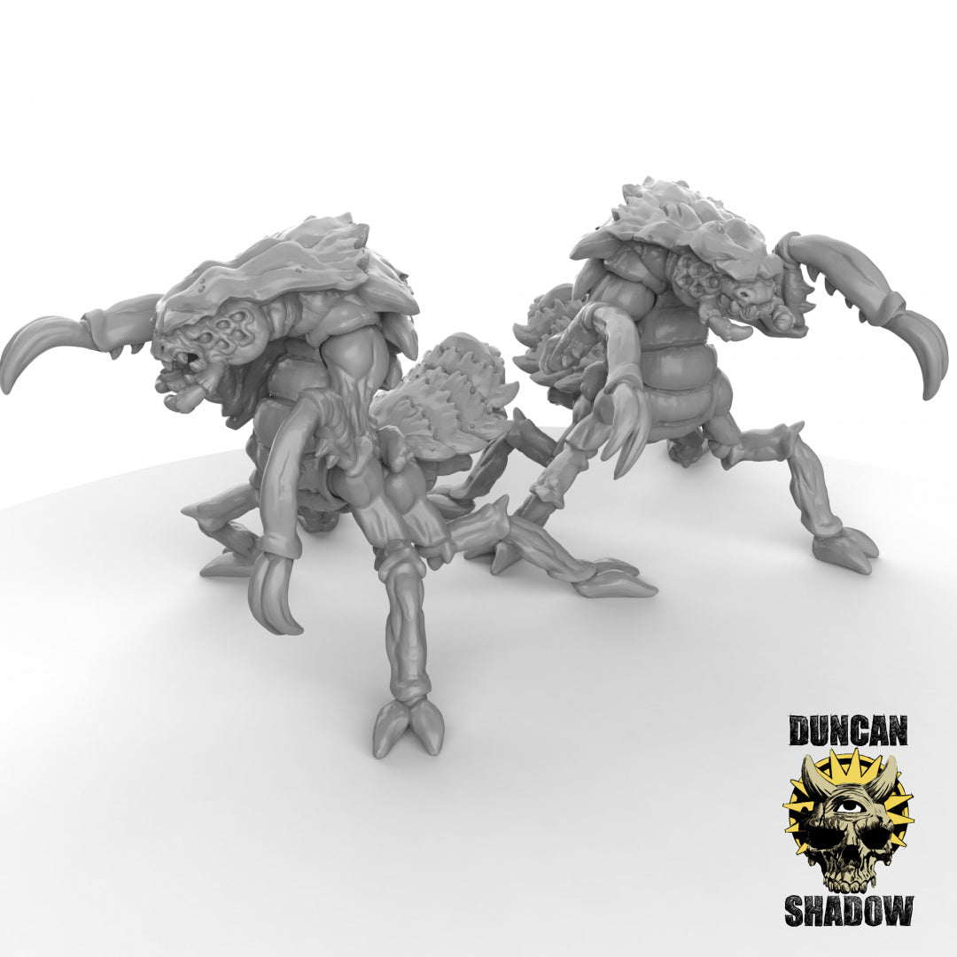 Bestias insectoides Xhkarsh | Sombra de Duncan | Compatible con Dragones y Mazmorras y Pathfinder