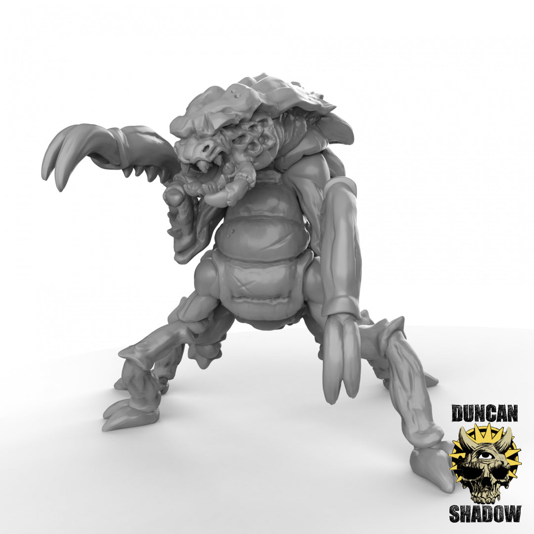 Xhkarsh-Insektoide Bestien | Duncan Shadow | Kompatibel mit Dungeons & Dragons und Pathfinder