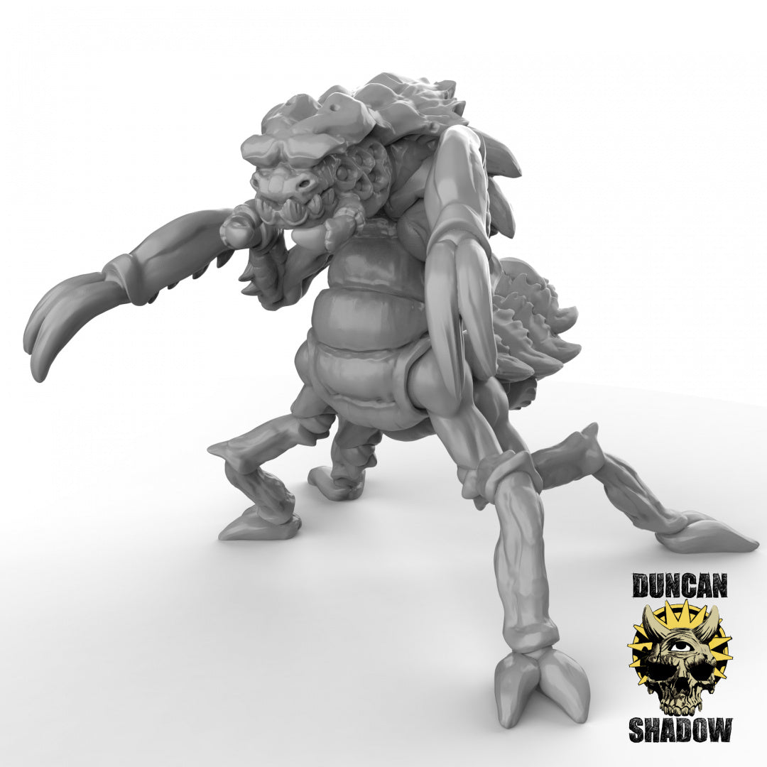 Xhkarsh-Insektoide Bestien | Duncan Shadow | Kompatibel mit Dungeons & Dragons und Pathfinder