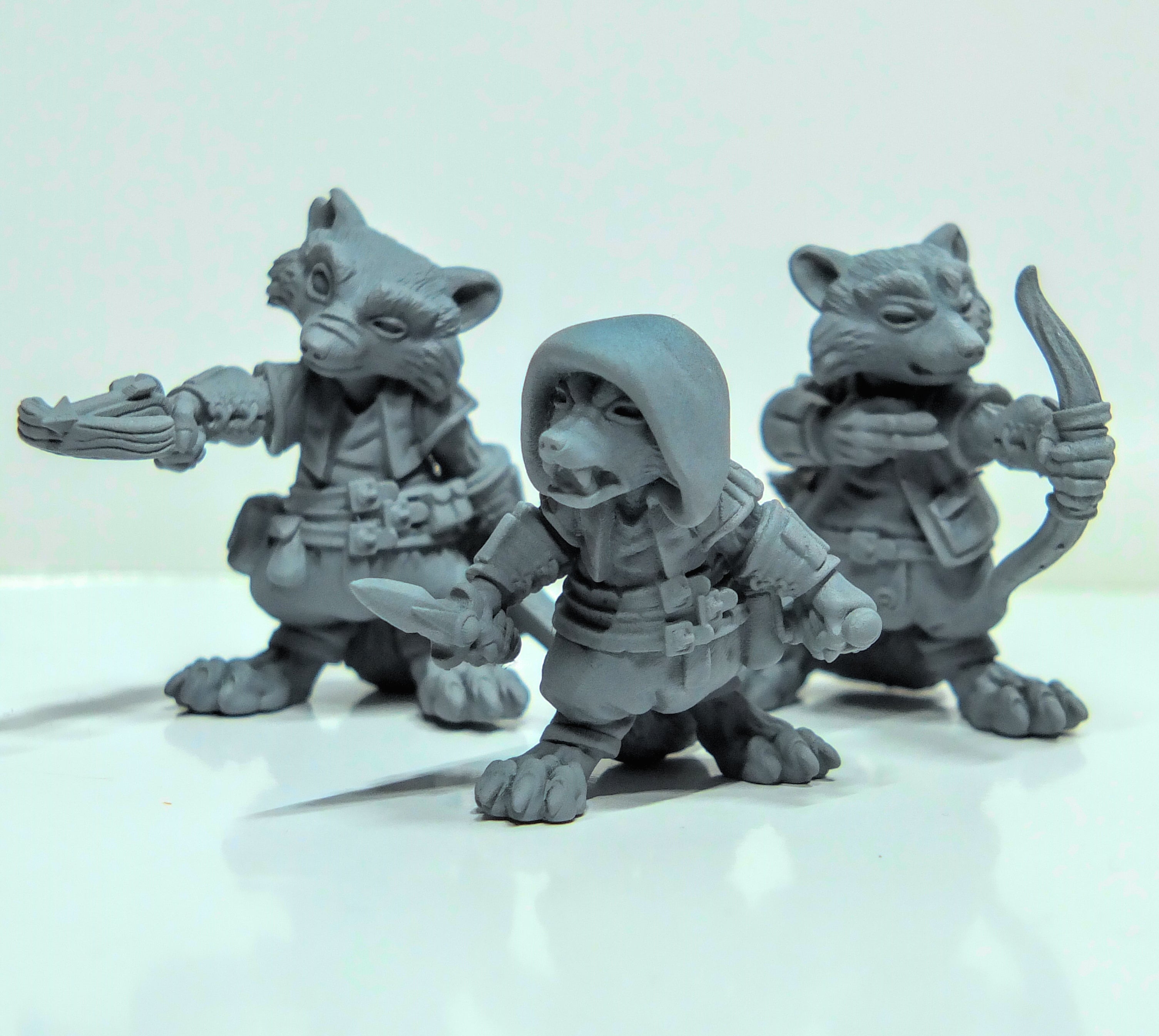 Raccoon Folk Rogues | Duncan Shadow | Compatible with Dungeons & Dragons and Pathfinder