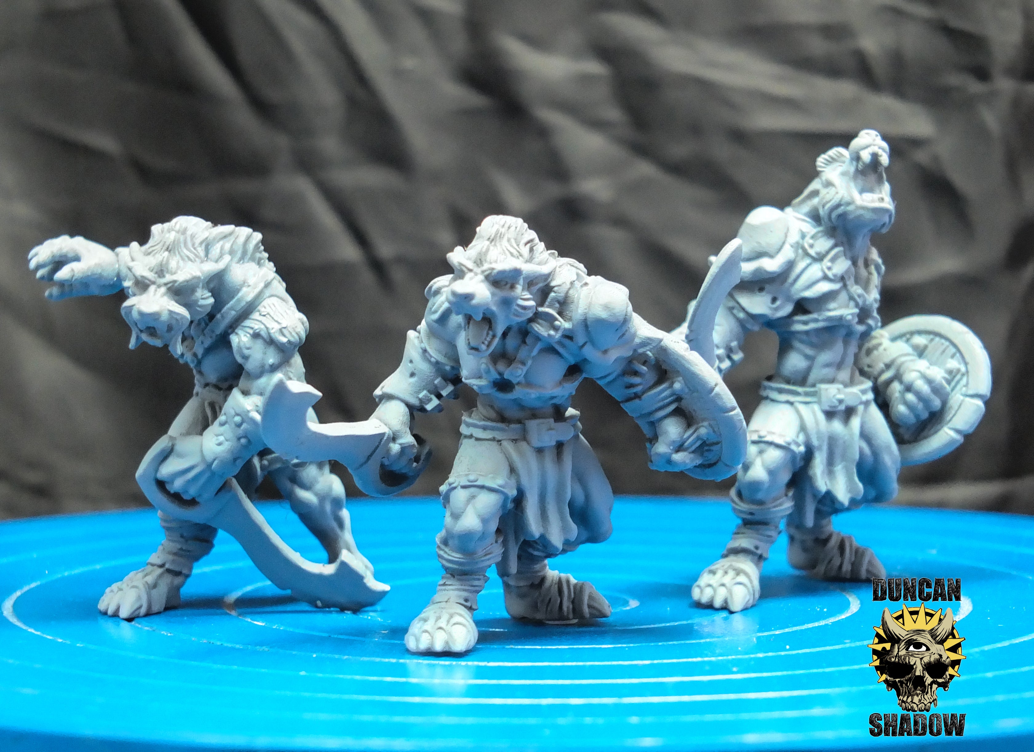 Guerreros lobos | Sombra de Duncan | Compatible con Dragones y Mazmorras y Pathfinder