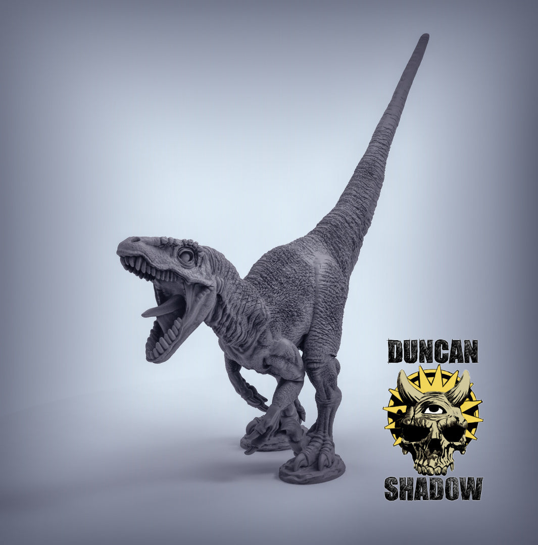 Velociraptors | Duncan Shadow | Compatible with Dungeons & Dragons and Pathfinder