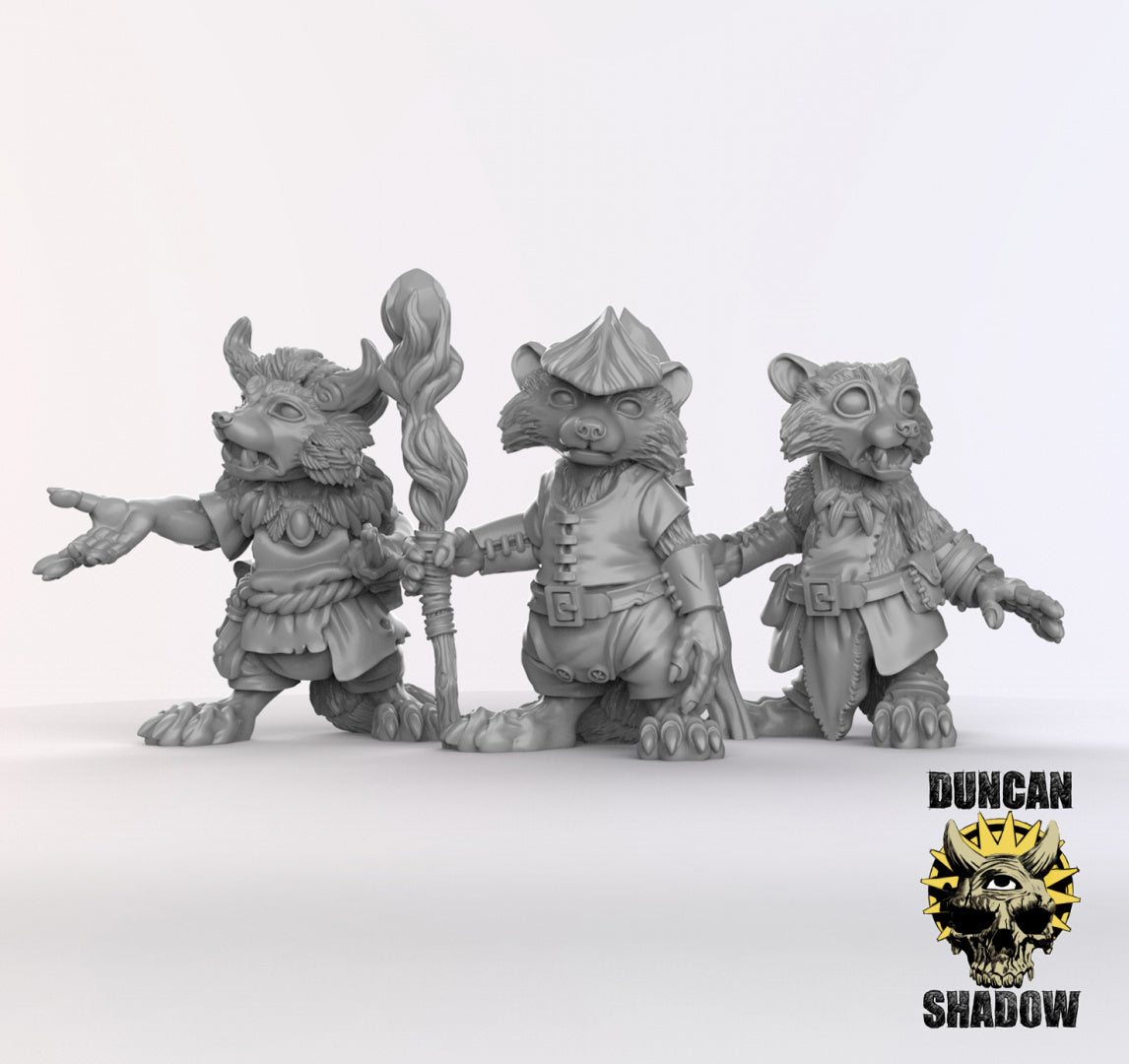 Druidas populares mapaches | Sombra de Duncan | Compatible con Dragones y Mazmorras y Pathfinder