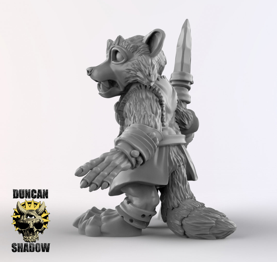 Raccoon Folk Druids | Duncan Shadow | Compatible with Dungeons & Dragons and Pathfinder