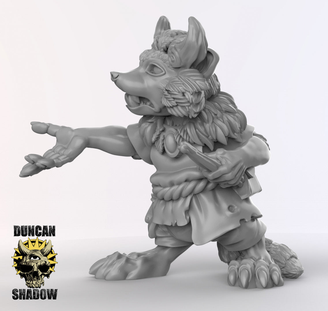 Raccoon Folk Druids | Duncan Shadow | Compatible with Dungeons & Dragons and Pathfinder