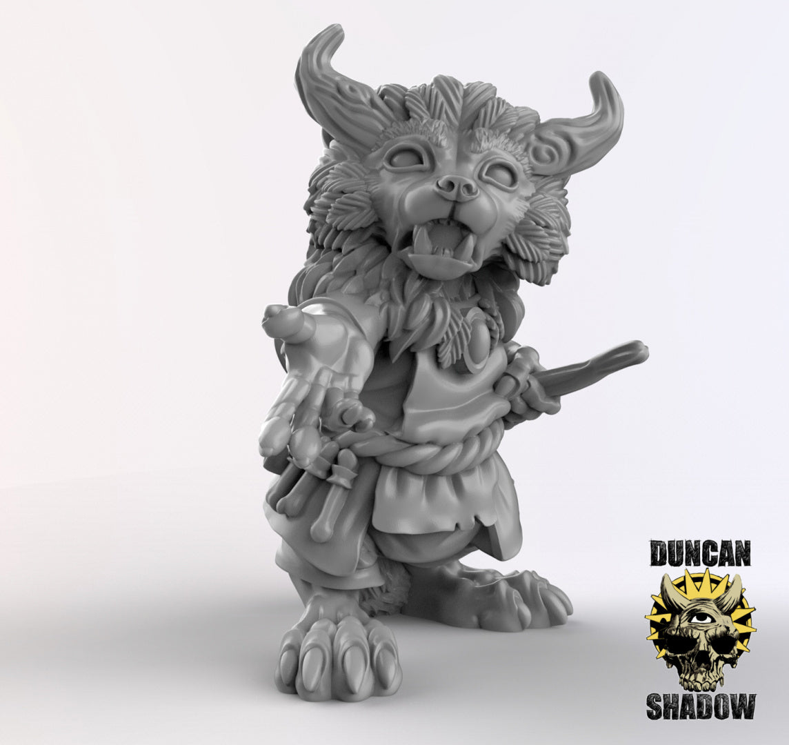 Raccoon Folk Druids | Duncan Shadow | Compatible with Dungeons & Dragons and Pathfinder