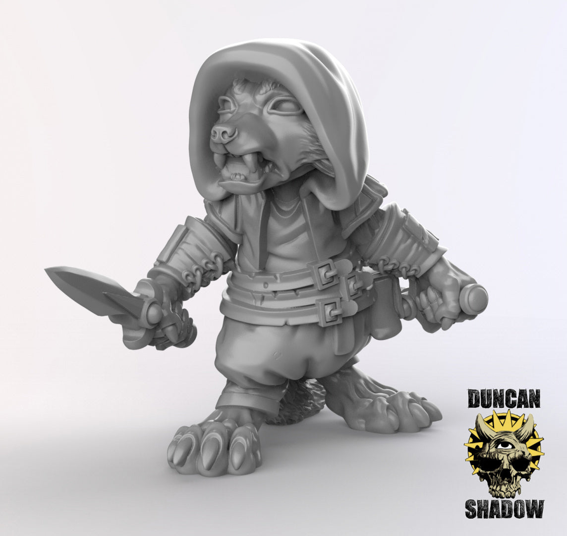 Raccoon Folk Rogues | Duncan Shadow | Compatible with Dungeons & Dragons and Pathfinder