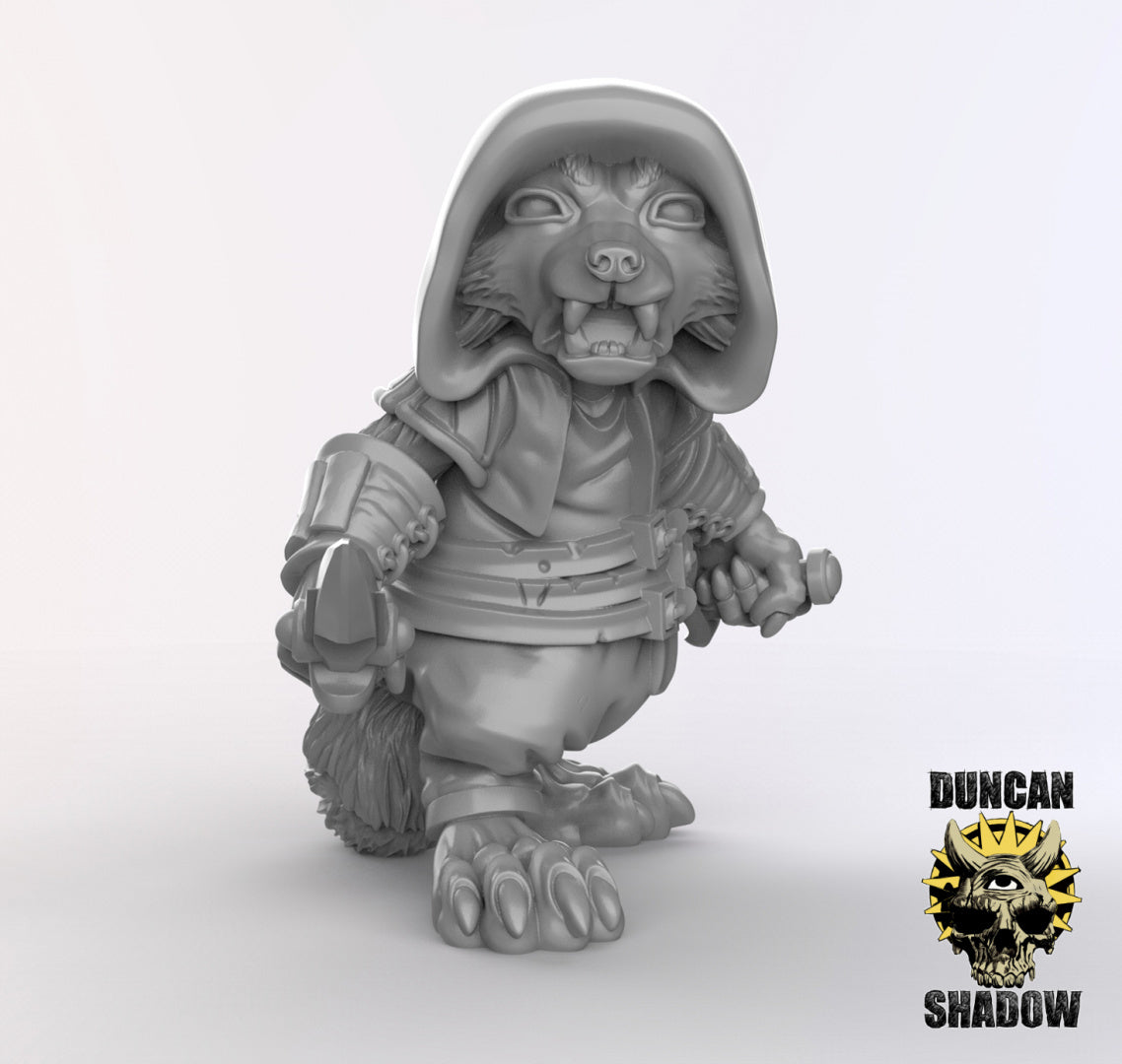 Raccoon Folk Rogues | Duncan Shadow | Compatible with Dungeons & Dragons and Pathfinder