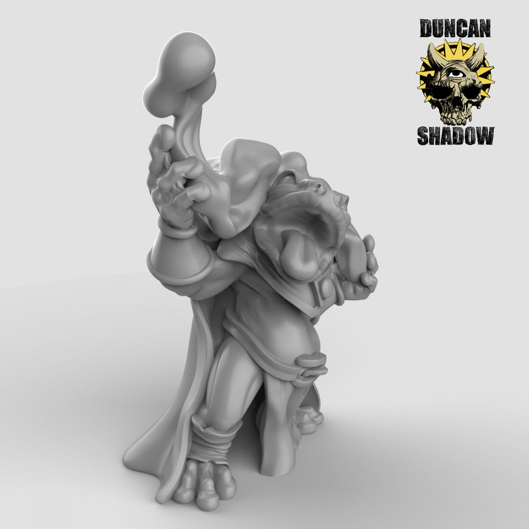 Boggard Sorcerers | Duncan Shadow | Compatible with Dungeons & Dragons and Pathfinder